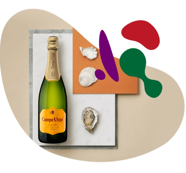 Campo Viejo Cava Brut - Spain