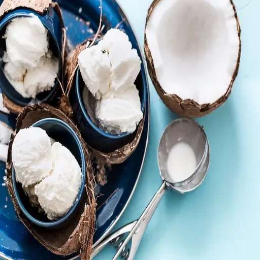 Vegan Coconut Ice Cream