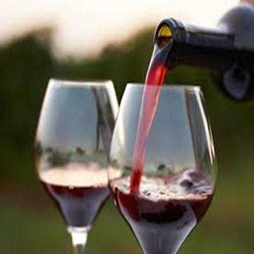 House Red (Blend Cab Sav/Cab Franc/Malbec) - France